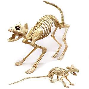 Viraj,s Skeleton Cat and Rat Skeleton for Halloween Decorations ...