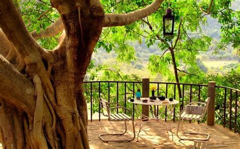 Treehouse Resorts Near Delhi For A Hushed Stay In The Hills