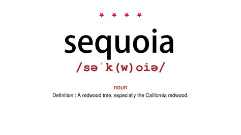 How to pronounce sequoia - Vocab Today - YouTube