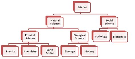 Branches of Science 的图像结果