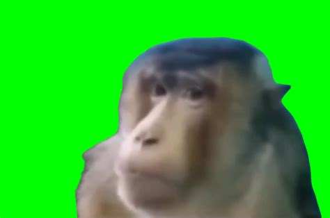 Monkey Side Eye with FNAF 2 ambience meme (Green Screen) | CreatorSet