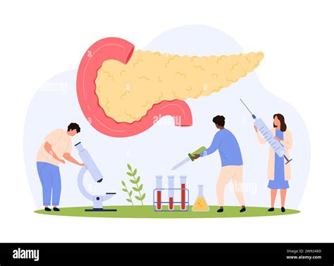 How does insulin work vector vectors Stock Vector Images - Alamy