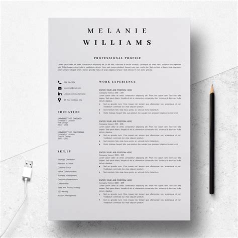 Resume Sample Format 的图像结果