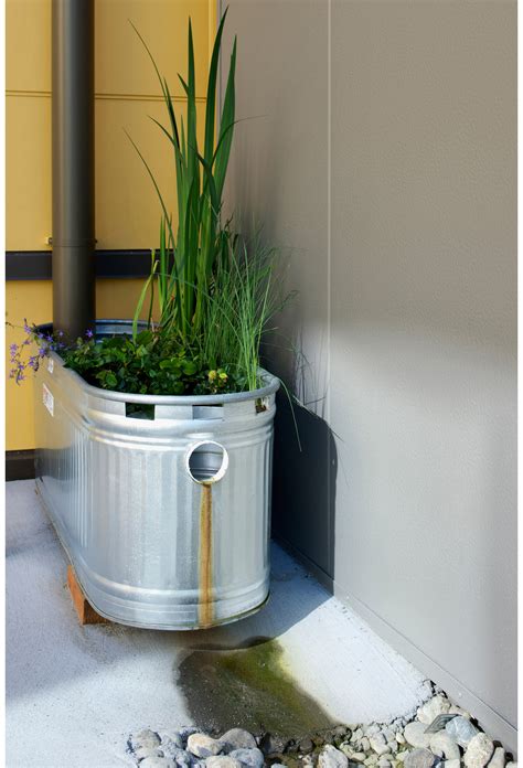 Lakota Middle School — Bassetti Architects