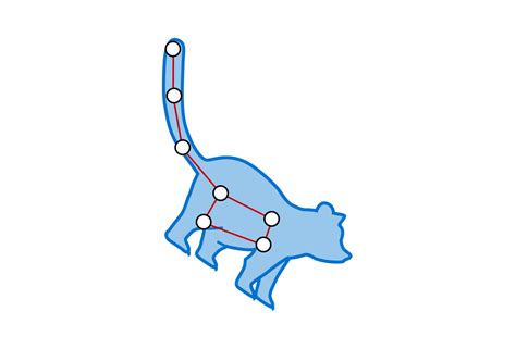 Ursa Minor Constellation Facts For Kids | DK Find Out