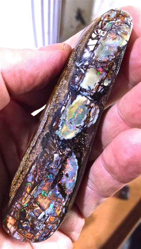 A very large specimen of Opalized Wood I will have at the Tucson Show ...