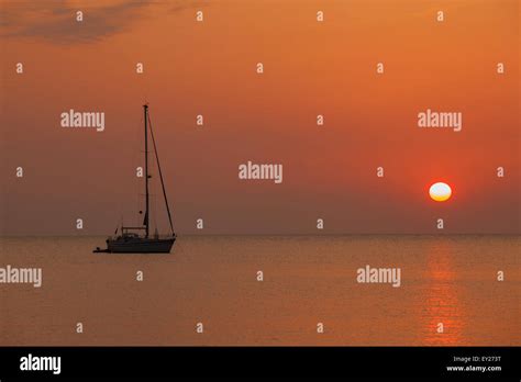 Sea Boat 的图像结果