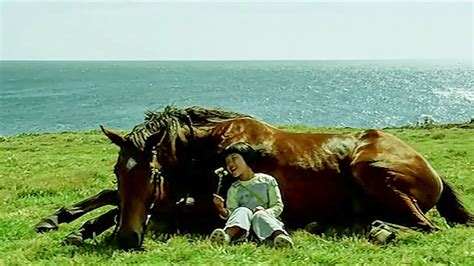 女孩从小没了母亲，于是她把这匹马当成妈妈，一部感人电影1