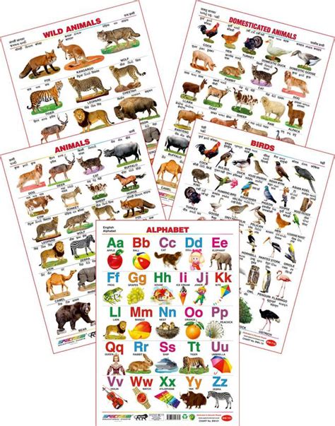 Spectrum Set of 5 Educational Large Wall Charts : ( Wild Animals ...