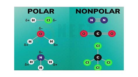 Image result for Example of Nonpolar Molecule
