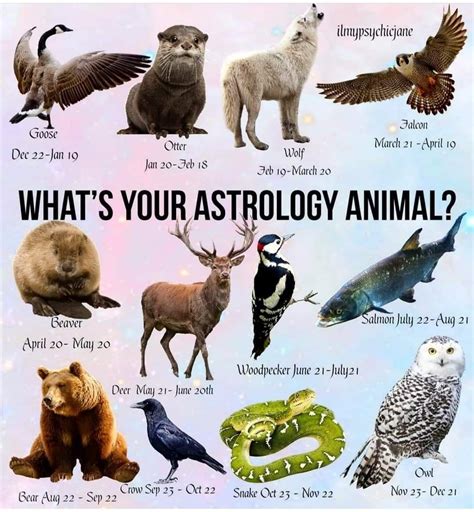 Pin by Allyssa Secrest on Zodiac | Animal symbolism, Animal spirit ...