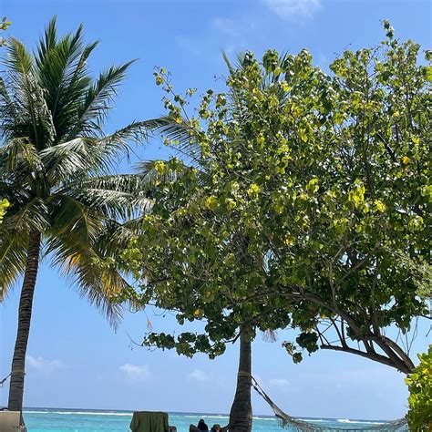 HOLIDAY INN RESORT KANDOOMA MALDIVES BY IHG (Kandoomaafushi Island ...