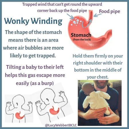 Image result for Burping Tutorial