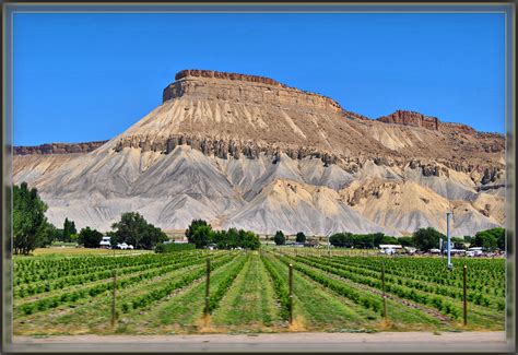 Elevation of Front St, Palisade, CO, USA - MAPLOGS