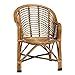 HM SERVICES Bamboo Cane Chair with Cushion- Brown : Amazon.in: Home ...