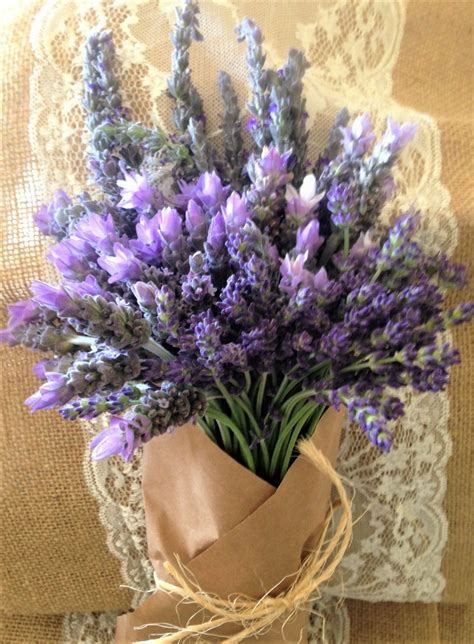 Fresh Mixed lavender Bouquets | Lavender bouquet, Flowers bouquet, Lavender