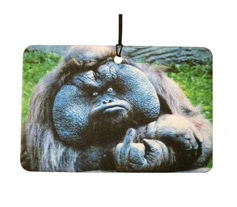 Animal Middle Finger