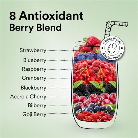 Buy Plant Protein Powder for Muscle Growth – Canadian Mixed Berry 500 g