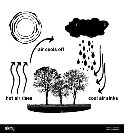 Convection process diagram. Warm air rises and cool air sinks. Hot and ...