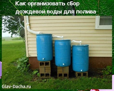 сбор дождевой воды для полива | Сбор дождевой воды, Дождевой сад, Идеи ...