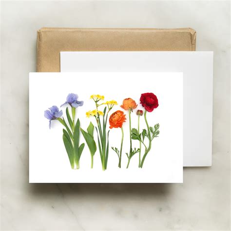 Folding card - Rainbow with red ranunculus – BottleBranch
