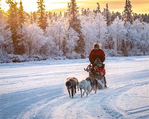 THE 10 BEST Places to Visit in Jukkasjarvi (2026)