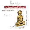 Buy Divya Mantra Jain Bhagwan God Sri Mahavir/Mahaveer Swami Brass Idol ...