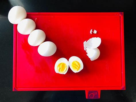 Karnataka orders testing of egg samples amid antibiotic concerns