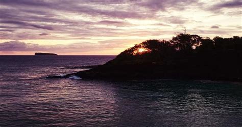 Flying 的图像结果