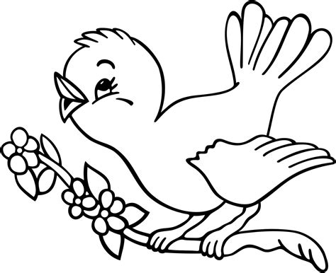 gambar burung hitam putih