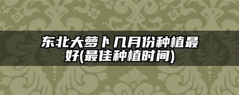 小米种子种植在东北种植效果好吗？6月份可以种植吗？-长景园林网