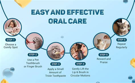 Trixie Cats Dental Hygiene Set - Cat Toothbrush and Toothpaste : Amazon ...