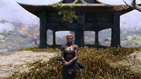 new screenshot at Skyrim Special Edition Nexus - Mods and Community