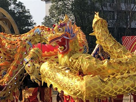 Lunar New Year of China, Korea, and Vietnam, Brattleboro Museum & Art ...