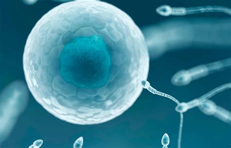 Best IVF Hospital/Center in India - Top Fertility Clinic | Milann The ...