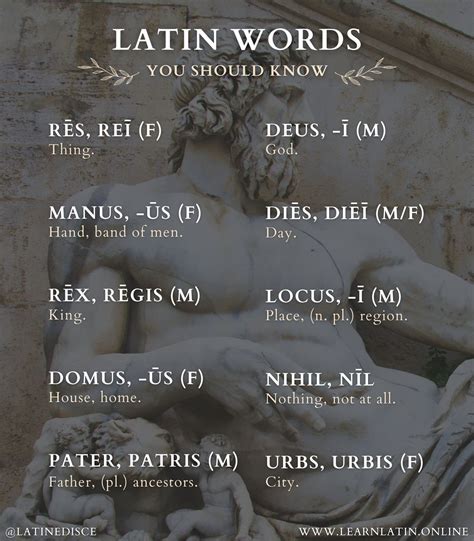 Pin by Beepbooobop on eklesia | Latin language, Latin language learning ...