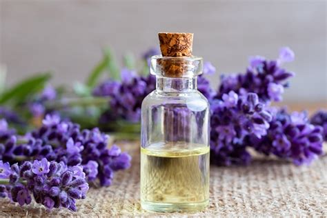 How to Use Derma Roller for Hair Growth: A Step-by-Step Guide