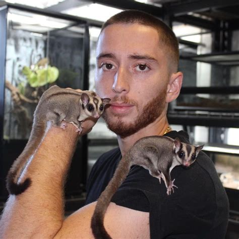 Sugar Glider Care Guide - Enclosure, Diet, Handling & More