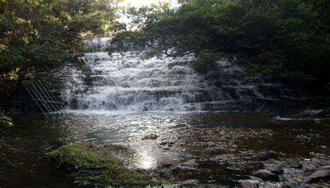 8 Best Waterfalls Near Kodaikanal That Every Traveler Must Visit In 2026