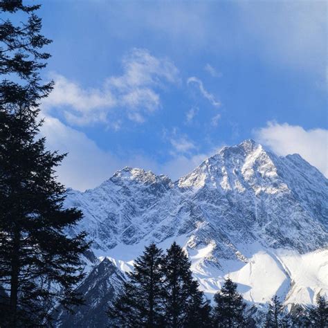 makefile基础与实战编译大型C/C++项目(linux)【共17课时 】_技术_能力_经济