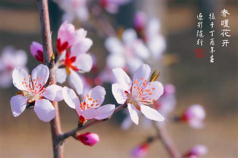 春暖花开时高清图片下载-正版图片500380823-摄图网