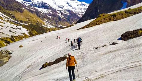 Pindari Glacier Trek 2026 - Complete Trekking Guide