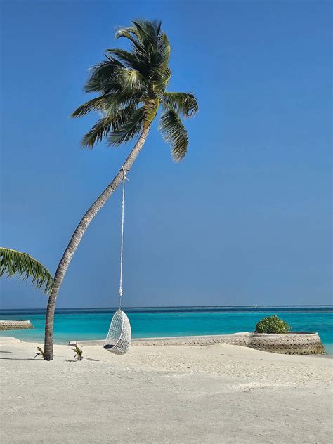 NOOE MALDIVES KUNAAVASHI (Vaavu Atoll) - Specialty Resort Reviews ...