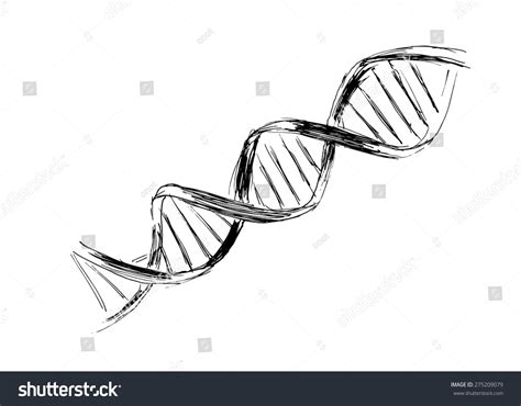 Simple Dna Strand Drawing