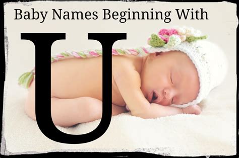 Marianne Sherret on HubPages