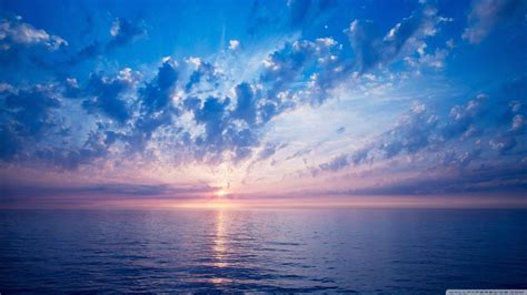 Screen Pictures Display 的图像结果