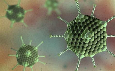 कोलकाता में सांस से जुडे संक्रमण से दो और बच्चों की मौत, Adenovirus की ...