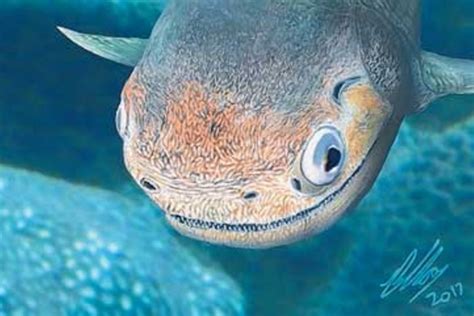 Image result for Fish Stink Meme