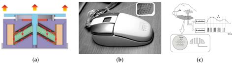 A Flexible Input Mapping System for Next-Generation Virtual Reality ...