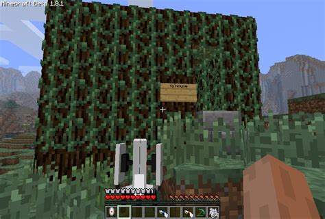 Command Block Secret House Minecraft 的图像结果